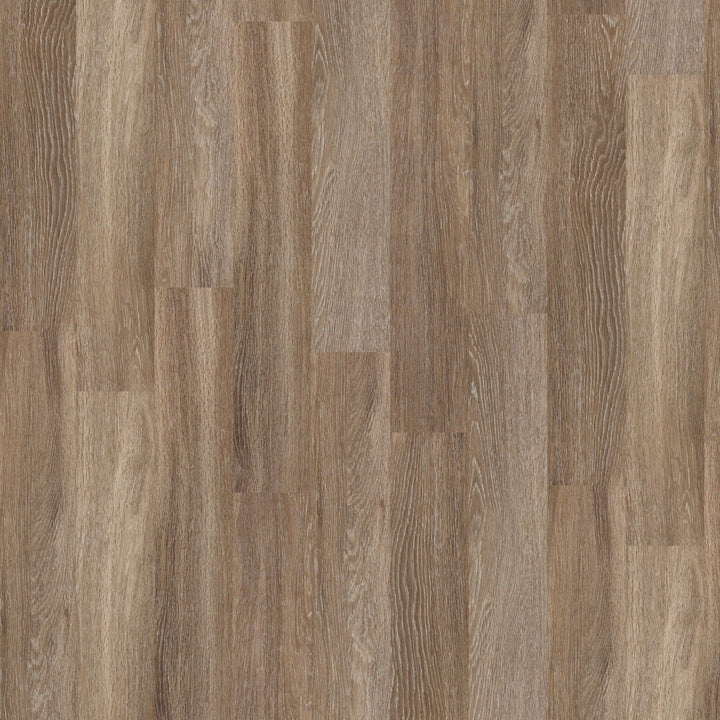 Shaw Perennial Basin Brown 5-mil x 6-in W x 48-in L Waterproof Glue Down Luxury Vinyl Plank Flooring (53.93-sq ft/ Carton)
