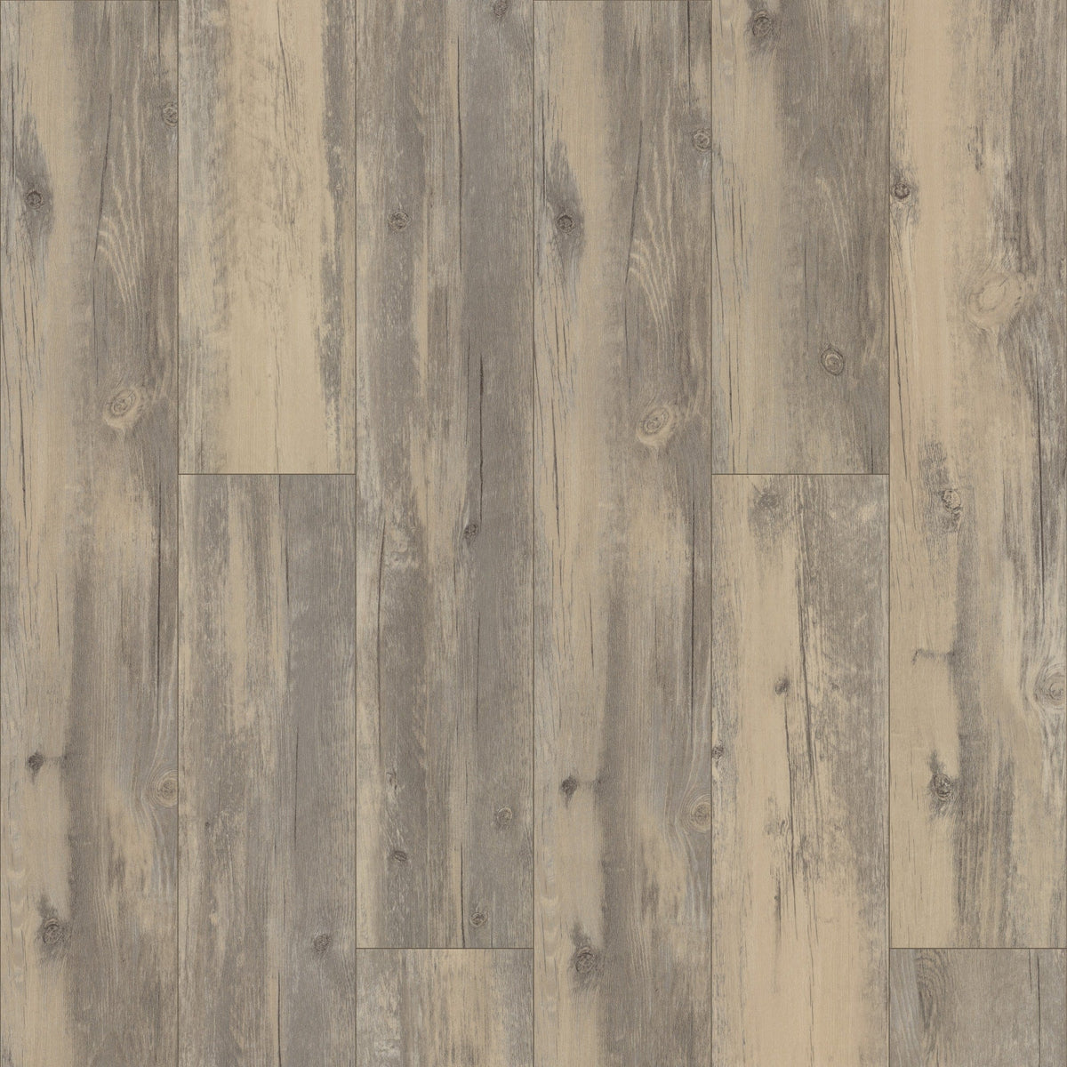 Shaw Perennial Atomic Brown 6-mil x 6-in W x 48-in L Waterproof Glue Down Luxury Vinyl Plank Flooring (53.93-sq ft/ Carton)