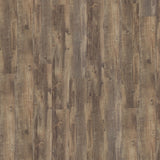 Shaw Perennial Spur Brown 6-mil x 6-in W x 48-in L Waterproof Glue Down Luxury Vinyl Plank Flooring (53.93-sq ft/ Carton)