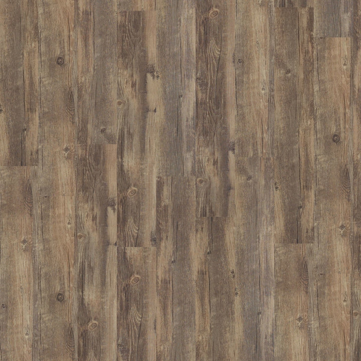 Shaw Perennial Spur Brown 6-mil x 6-in W x 48-in L Waterproof Glue Down Luxury Vinyl Plank Flooring (53.93-sq ft/ Carton)