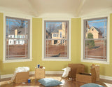 RELIABILT 150 Series New Construction 23-1/2-in x 35-1/2-in x 3-1/4-in Jamb White Vinyl Dual-pane Single Hung Window Half Screen Included