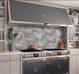 Apollo Tile (Sample) Wall Tile Gray 4-in x 6-in Polished Marble Subway Floor and Wall Tile