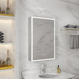 WELLFOR ELIN 20-in x 30-in Lighted LED Fog Free Surface/Recessed Mount Silver Mirrored Soft Close Medicine Cabinet with Outlet