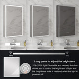 WELLFOR ELIN 20-in x 30-in Lighted LED Fog Free Surface/Recessed Mount Silver Mirrored Soft Close Medicine Cabinet with Outlet