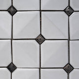 Apollo Tile Deluxe White 12-in x 12-in Glossy Ceramic Mixed Pattern Patterned Wall Tile (5-sq. ft/ Carton)