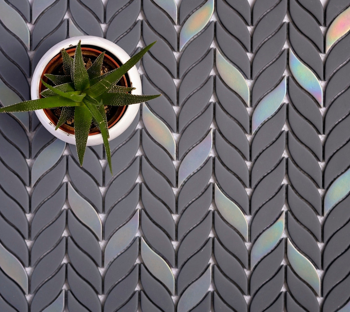 Apollo Tile (Sample) Alabaster Anchor Gray 12-in x 12-in Matte Glass Mixed Pattern Patterned Floor and Wall Tile