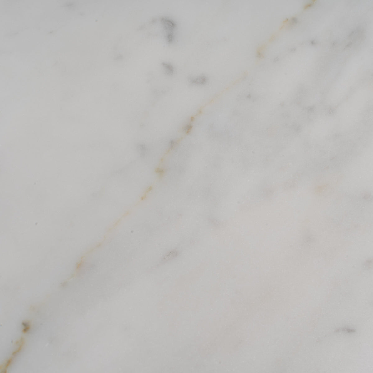 Apollo Tile (Sample) Wall White 4-in x 4-in Honed Marble Look Wall Tile