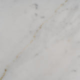 Apollo Tile (Sample) Wall White 4-in x 4-in Honed Marble Look Wall Tile