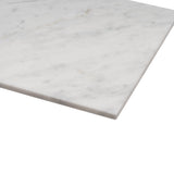 Apollo Tile (Sample) Wall White 4-in x 4-in Honed Marble Look Wall Tile