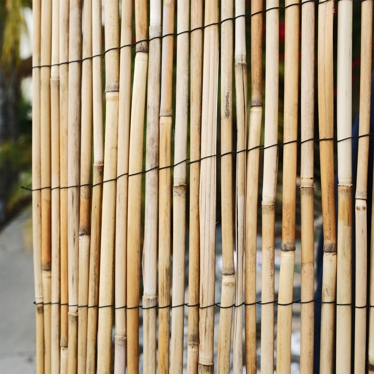 Backyard X-Scapes 4-ft x 8-ft Bamboo No Dig Fence Panel