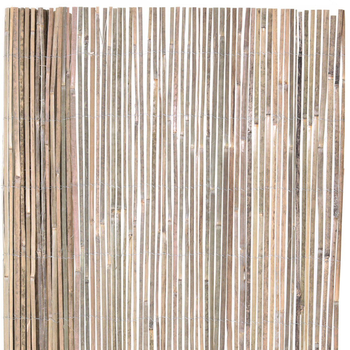 Backyard X-Scapes 6-ft x 16-ft Bamboo No Dig Fence Panel
