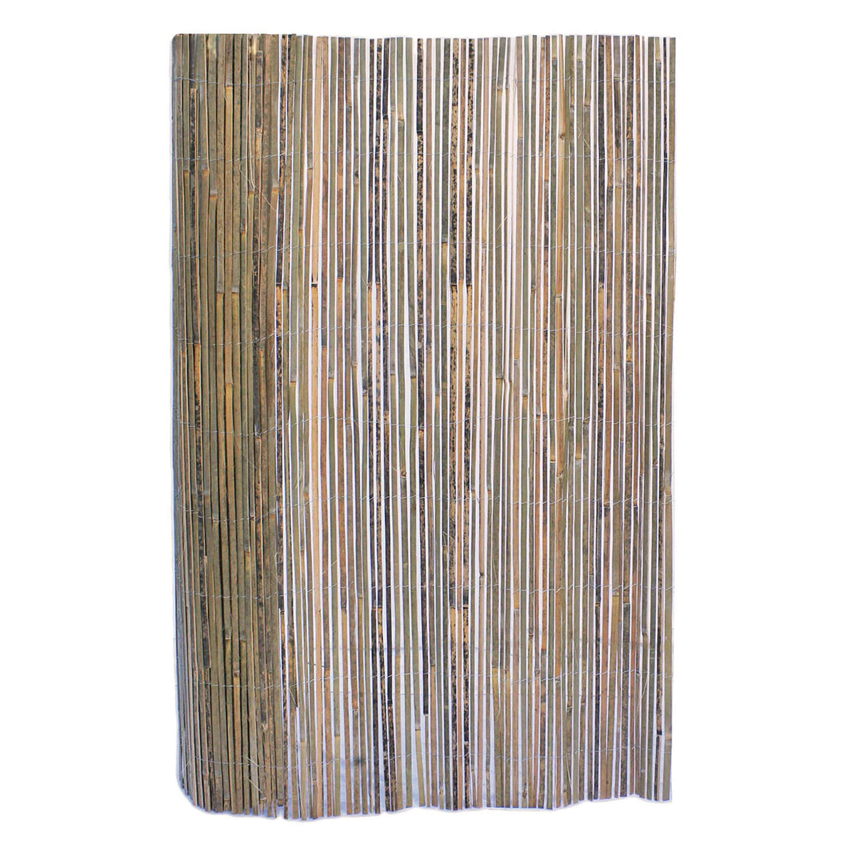 Backyard X-Scapes 6-ft x 16-ft Bamboo No Dig Fence Panel