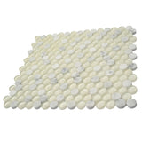 Apollo Tile White 12-in x 12-in Polished Glass; Stone Marble Penny Round Stone Look Floor and Wall Tile (4.83-sq. ft/ Carton)