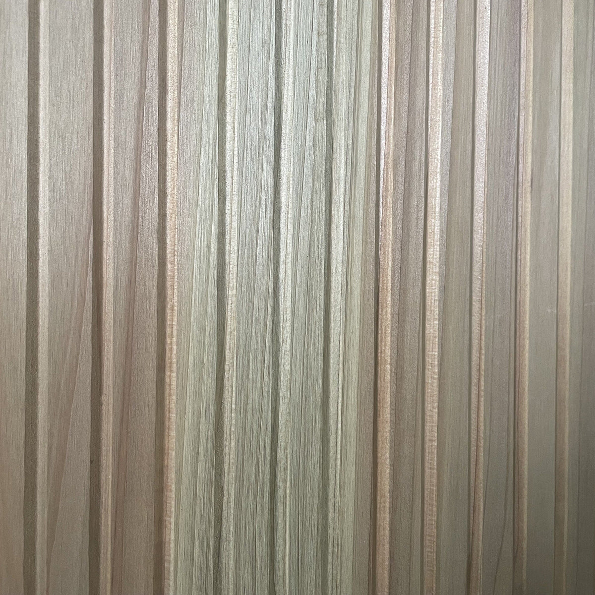 Style Selections Cedar Woven Wire Rolled Fencing - 15'x2', White