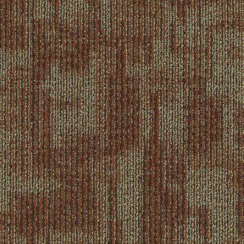 636738623886xl_-790612198.jpg