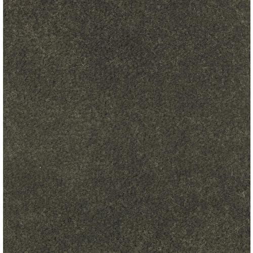 636738626511xl_1741682796.jpg