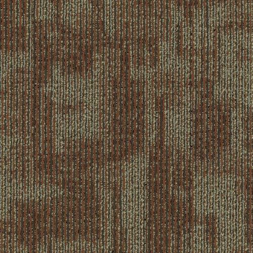 636738644515xl_1230365018.jpg