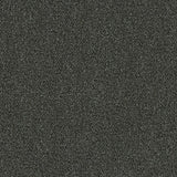 636738646489xl_-504667345.jpg