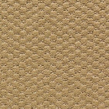 636738646557xl_2002192096.jpg
