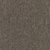 636738646564xl_946677157.jpg