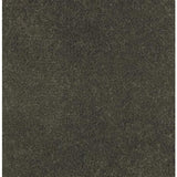 636738647004xl_-909591386.jpg