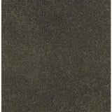 636738647486xl_-1327348178.jpg