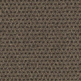 636738647646xl_-539768038.jpg