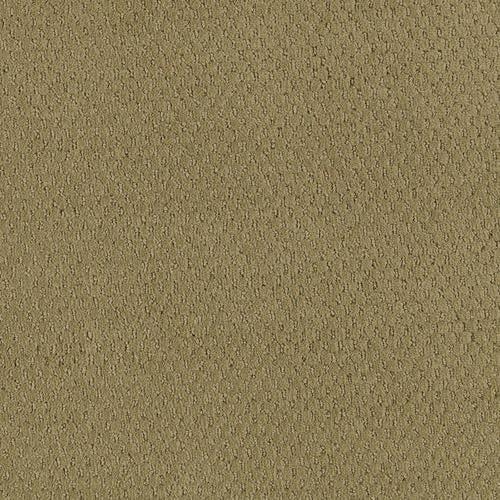 636738647875xl_-1075042455.jpg