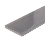 Apollo Tile (Sample) Wall Tile Ash Gray 3-in x 12-in Glossy Glass Subway Wall Tile
