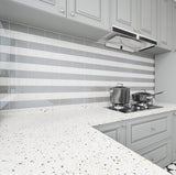 Giorbello (Sample) 3x6 Glass Subway Tiles True Gray 3-in x 6-in Glossy Glass Brick Subway Wall Tile