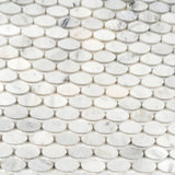 Apollo Tile Athens White 11-in x 12-in Polished Natural Stone Marble Circular Marble Look Floor and Wall Tile (4.51-sq. ft/ Carton)