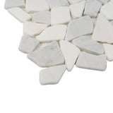 Apollo Tile (Sample) Athens White and Gray 4-in x 4-in Polished Marble Pebble Mosaic Floor and Wall Tile