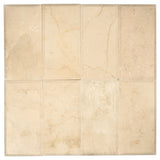 Apollo Tile (Sample) Wall Tile Buff Beige 4-in x 6-in Polished Marble Subway Floor and Wall Tile