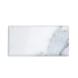Apollo Tile (Sample) Wall Tile White 4-in x 4-in Polished Marble Subway Floor and Wall Tile