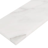 Apollo Tile (Sample) White, Grey 4-in x 12-in Honed Marble Floor and Wall Tile