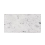 Apollo Tile (Sample) Wall White 3-in x 6-in Polished Marble Subway Wall Tile