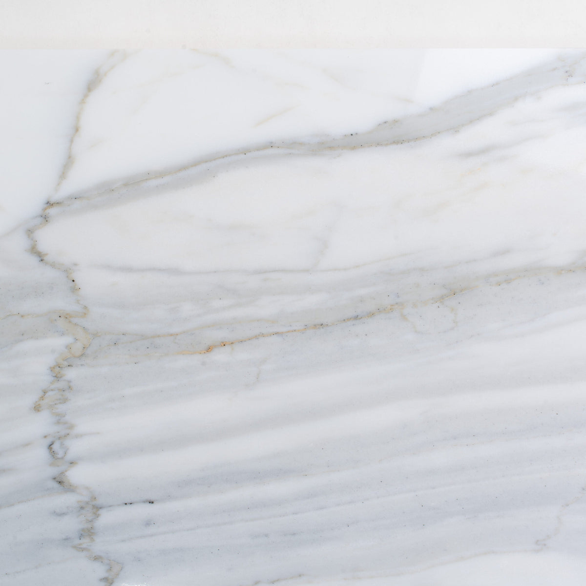 Apollo Tile (Sample) Floor and Wall Tile White and Gray 4-in x 4-in Honed Marble Subway Floor and Wall Tile