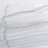 Apollo Tile (Sample) Floor and Wall Tile White and Gray 4-in x 4-in Honed Marble Subway Floor and Wall Tile
