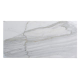 Apollo Tile (Sample) Floor and Wall Tile White and Gray 4-in x 4-in Honed Marble Subway Floor and Wall Tile