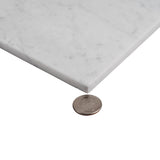 Apollo Tile (Sample) Wall White 4-in x 4-in Polished Marble Subway Wall Tile