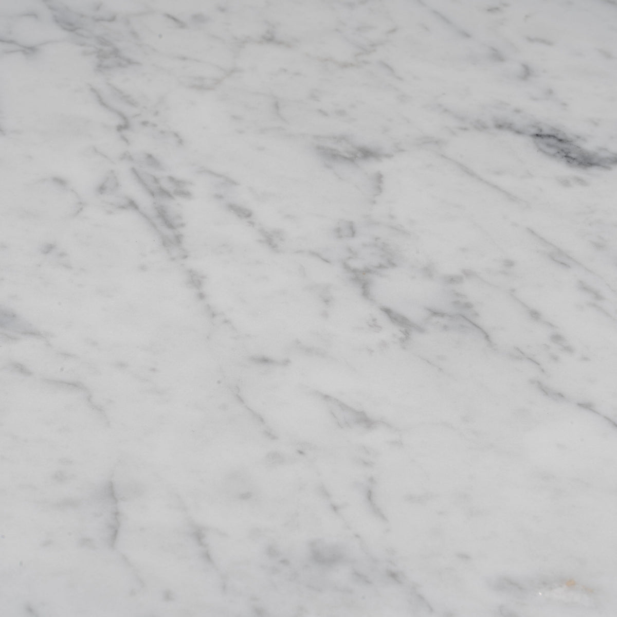 Apollo Tile (Sample) Wall White 4-in x 4-in Polished Marble Look Wall Tile