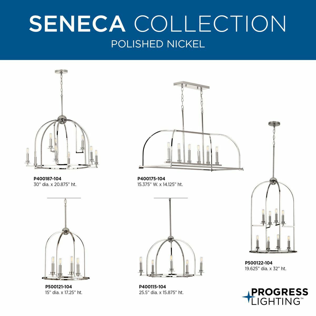 Progress Lighting Seneca 9-Light Matte Black Farmhouse Chandelier