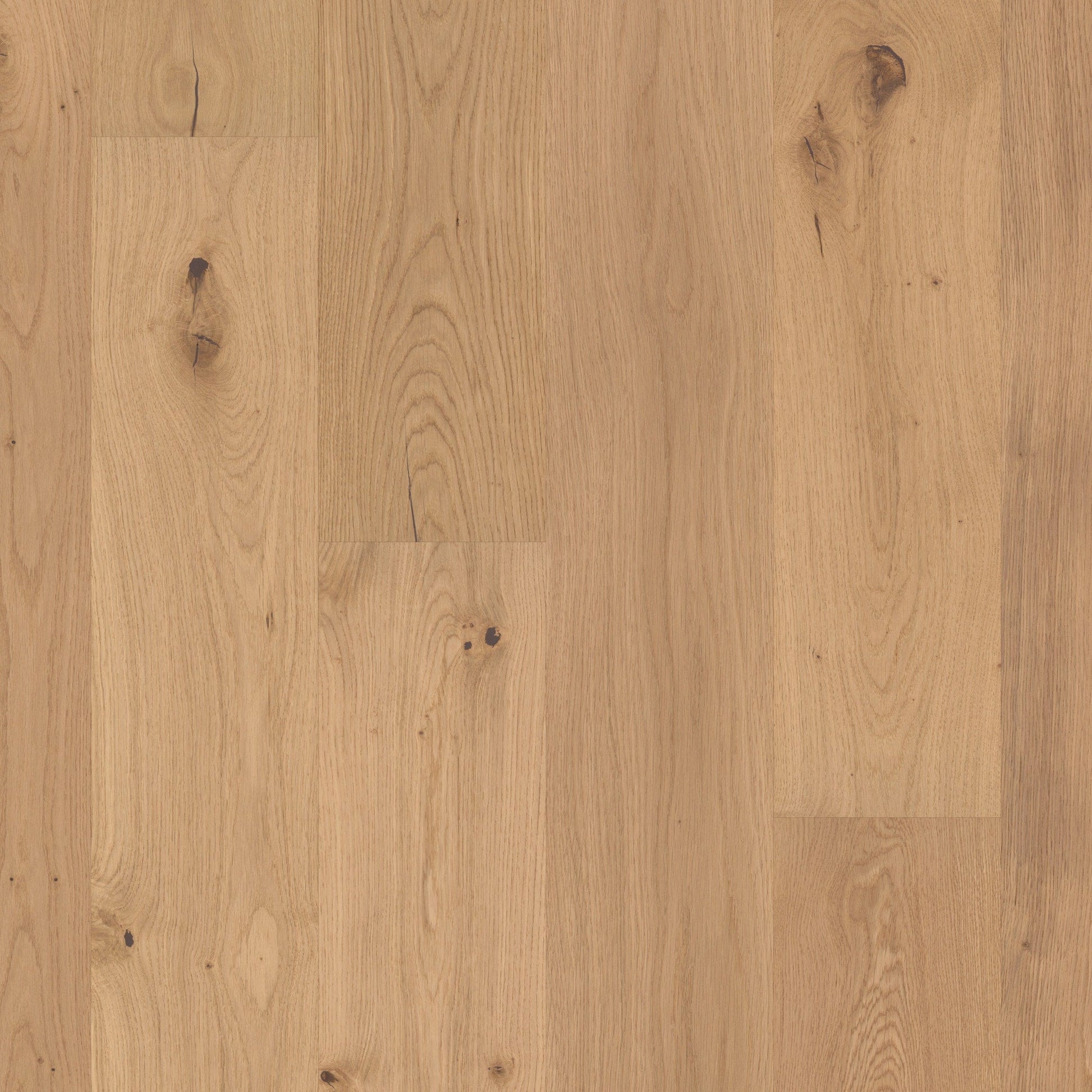 Shaw White oak Dorchester hardwood flooring — primary plank view