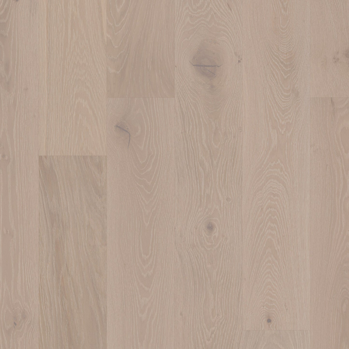 Shaw White oak Wynwood hardwood flooring — primary plank view