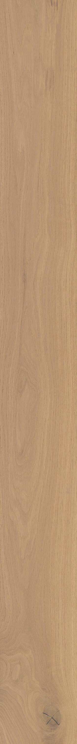 Shaw White oak Sunset Park hardwood flooring — lifestyle view