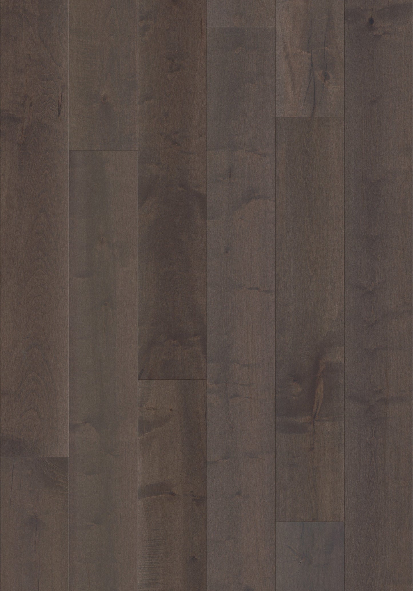 Shaw Maple Reiger hardwood flooring — lifestyle view