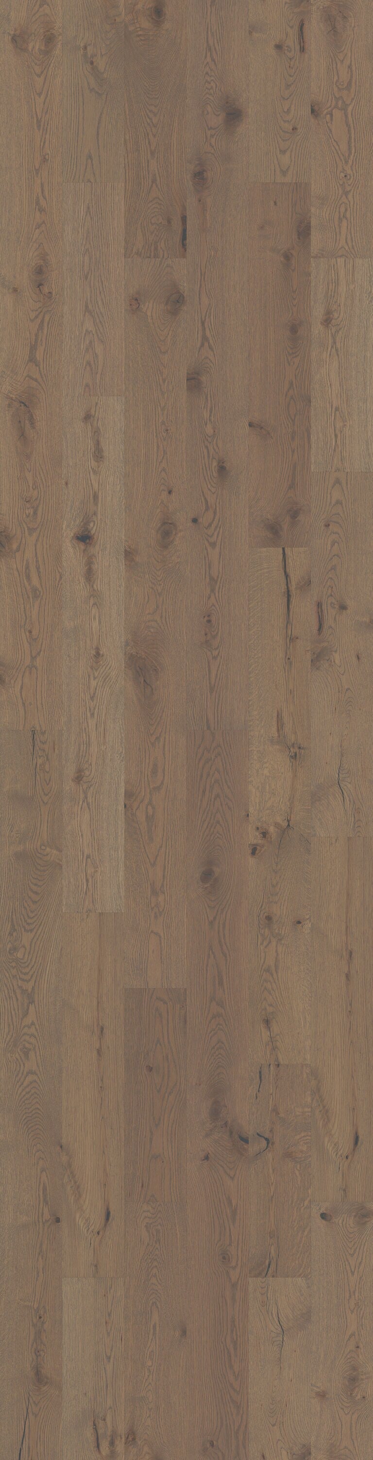 Shaw White oak Dublin hardwood flooring — detail view