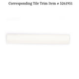 Apollo Tile (Sample) Duchess White 4-in x 4-in Glossy Ceramic Wall Tile