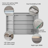 WELLFOR EX4 30-in x 32-in Lighted LED Fog Free Surface/Recessed Mount Silver Mirrored Soft Close Medicine Cabinet with Outlet