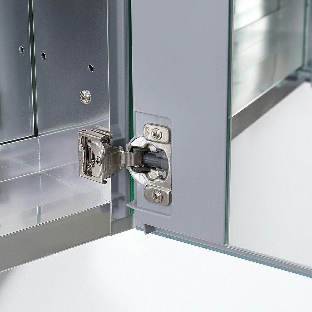 Fresca 59-in x 36-in Surface/Recessed Mount Mirror Mirrored Medicine Cabinet